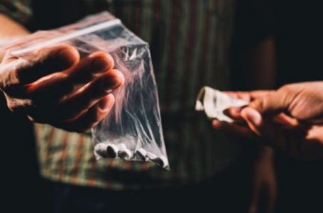 Estatísticas da PC mostram altos índices de crimes referentes a tráfico de drogas