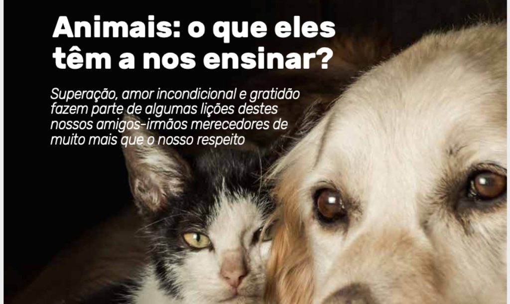 Terceira edição da Comunica! é dedicada à causa animal