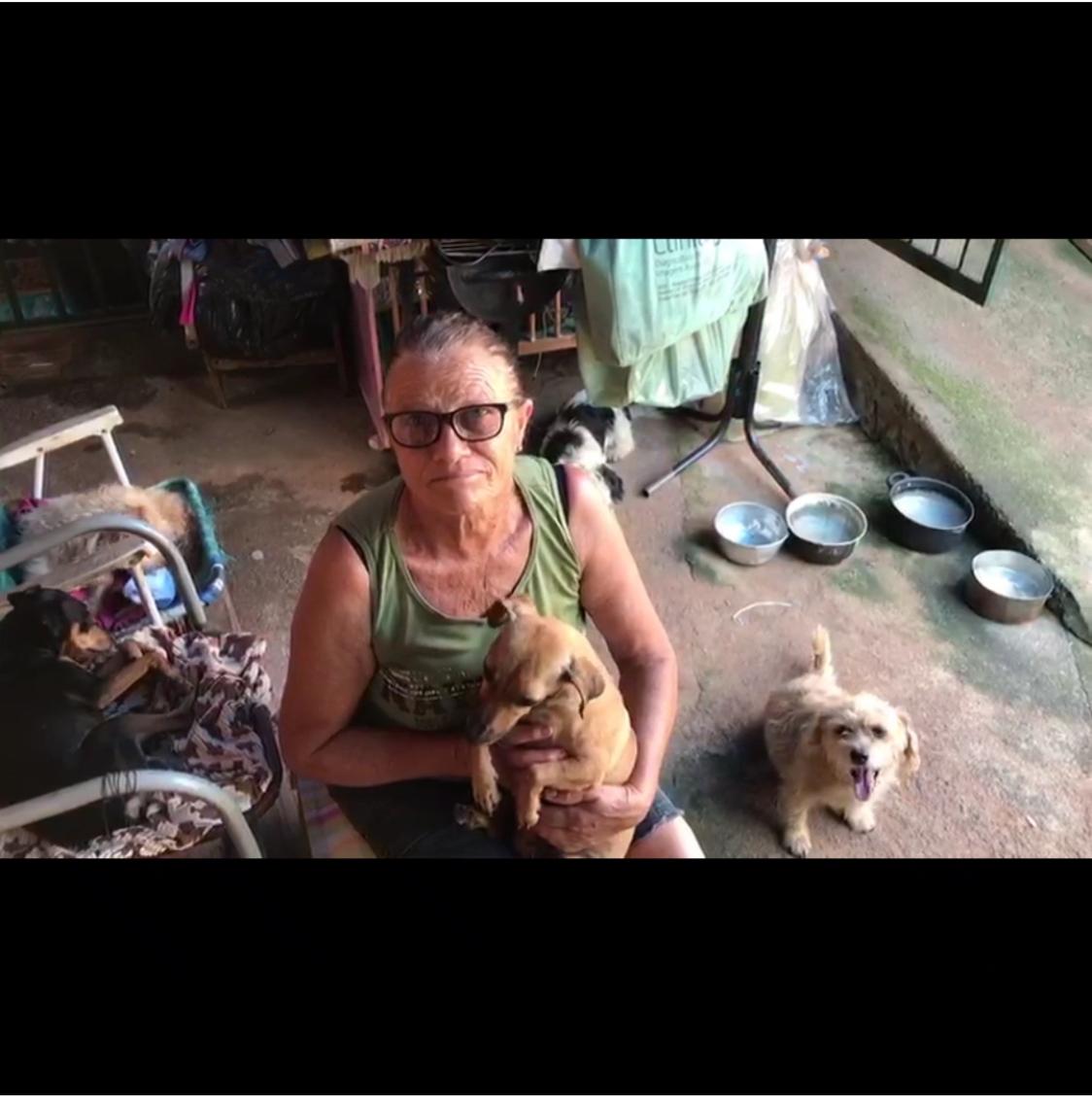 A luta de Dona Iva para cuidar de cães abandonados